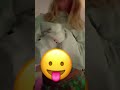 New fav dance fr #music #dance #foryoupage #shorts