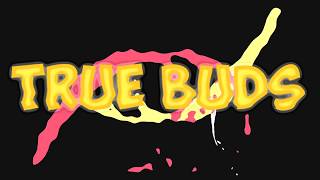 True Buds TV Hip Hop Song Lyric Video