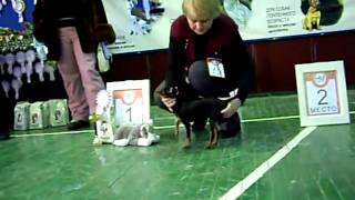 IMGP0292.AVI