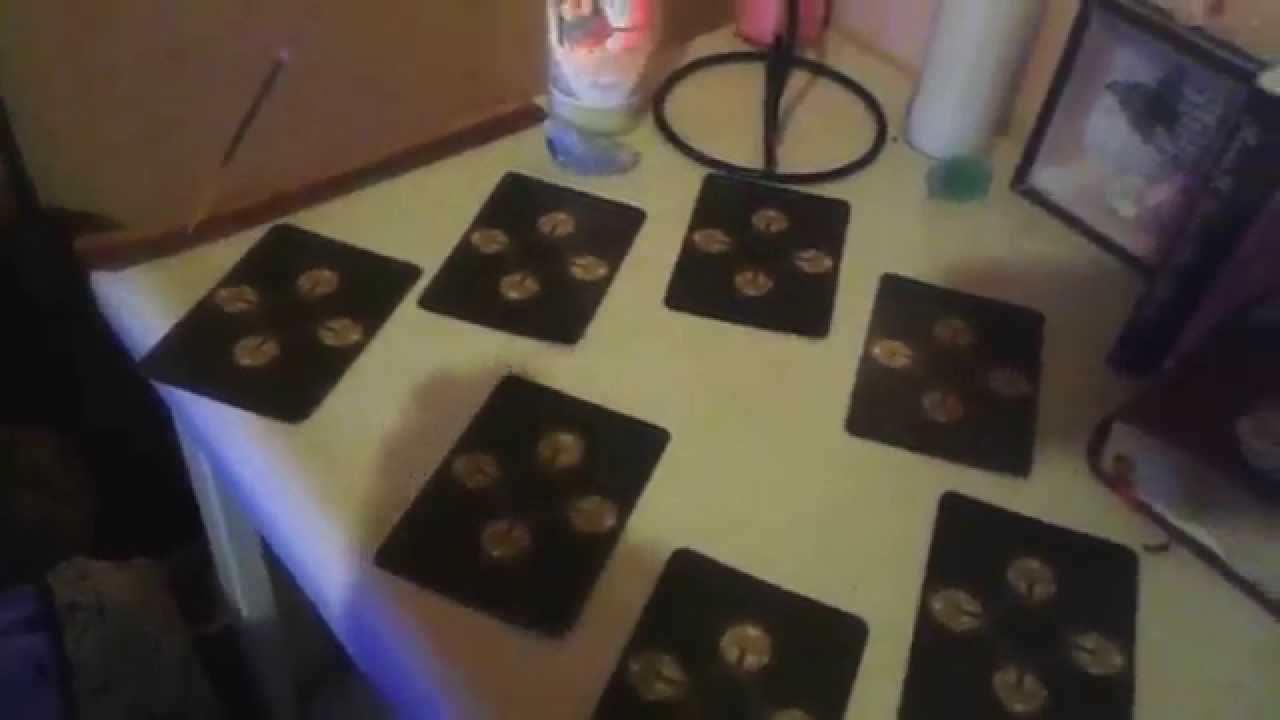 June 2015 Wisdom For Aries (All Types)