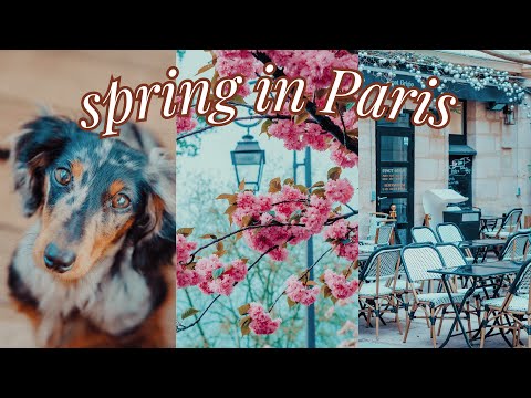 cozy spring vlog