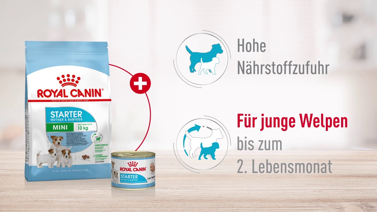 royal canin mini starter