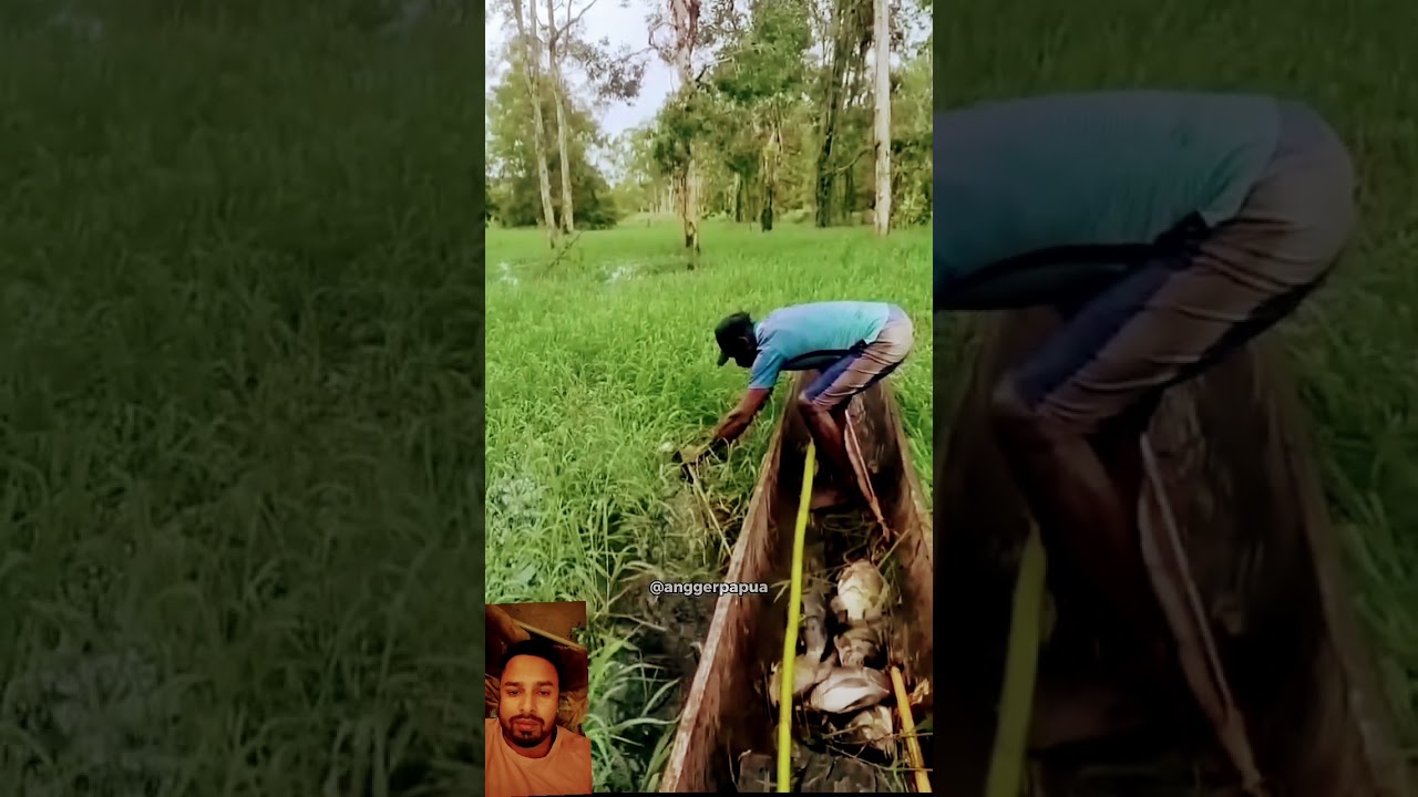 🏹🐠🐟 #fishing #fish #agriculture #carpfishing #farming #discovery #shots #short#RGmalik92