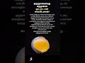 இது உங்களுக்கு தெரியுமா?#Egg#health tips#Trending@Dr.SamsInfo