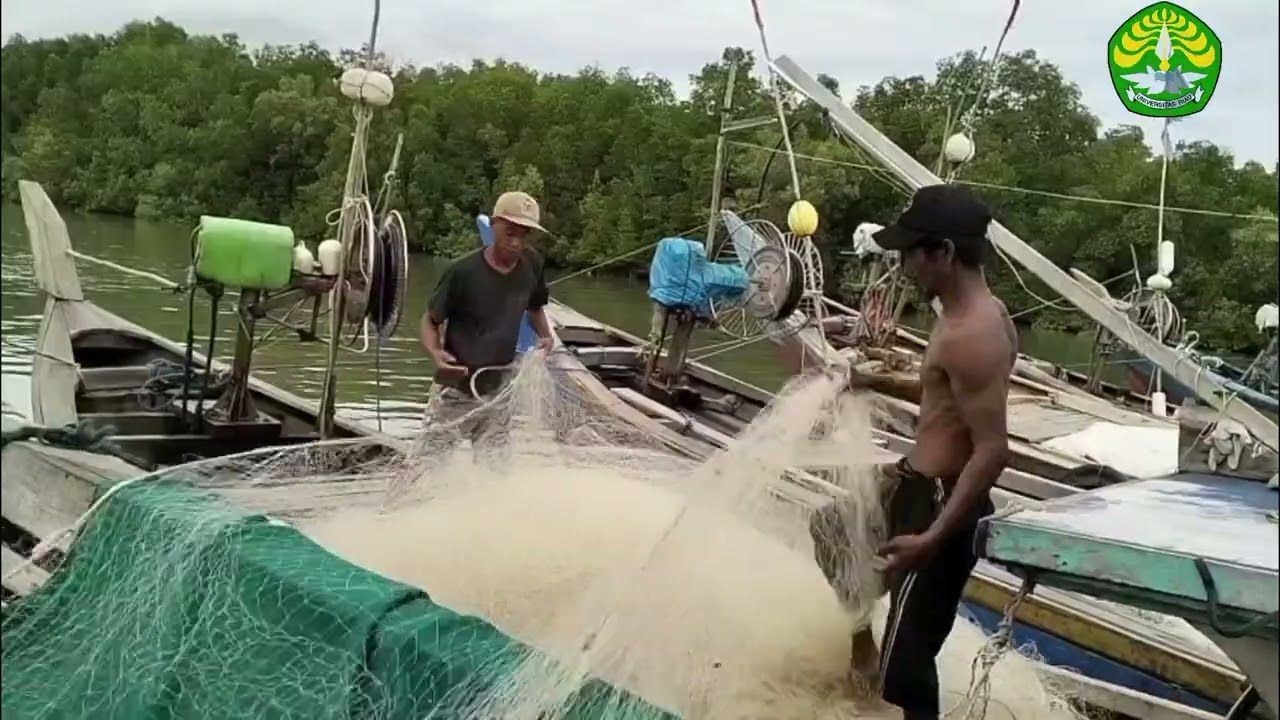 Analisis Bioekonomi Ikan Tenggiri (Scomberomorus commerson) di Perairan Kecamatan Rupat Utara
