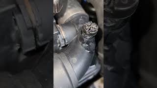 E53 X5 BMW how to bleed cooling system #bmw #shorts #carmaintenance #carmaintenancetips carma E53 X5 BMW how to bleed cooling system #bmw #shorts #carmaintenance #carmaintenancetips carma