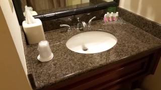Holiday Inn Tampa Westshore Hotel Room Review