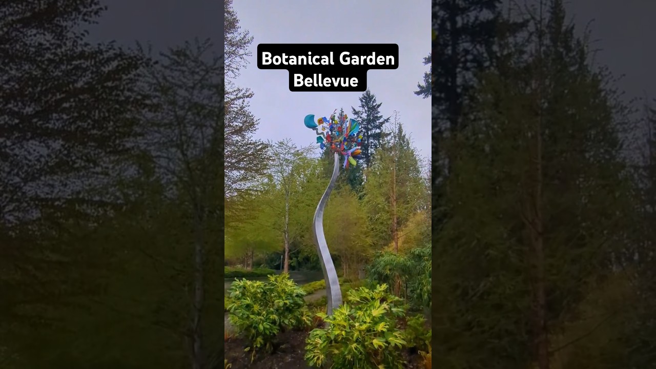 🌿 A Stroll Through Bellevue’s Botanical Beauty 
