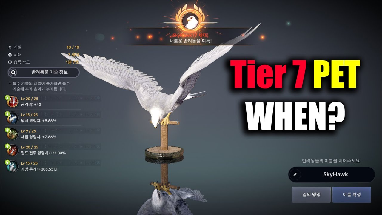 Black Desert Mobile Tier 7 Pet When? YouTube