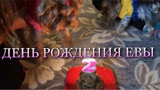 картинка: День Рождения Евы