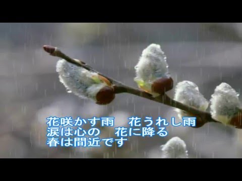 花咲かす雨 山本あき By 雀 Youtube