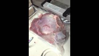 cabelas commercial grade vacuum sealer