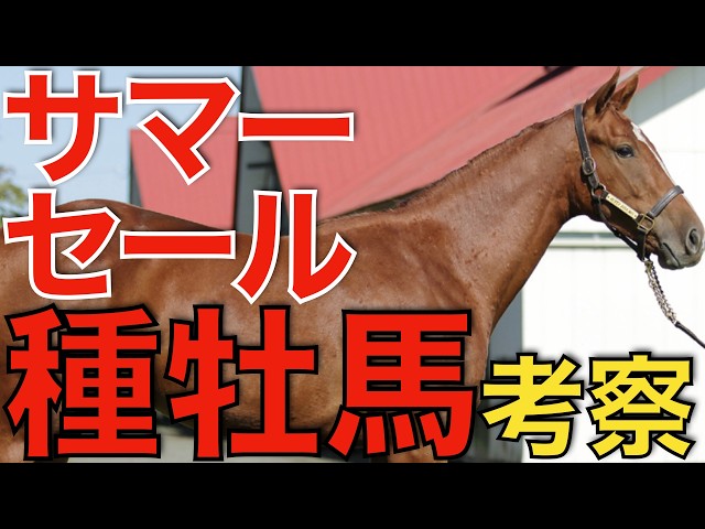 Over 1,400 Head! An In-Depth Look at the Stallion Lineup for