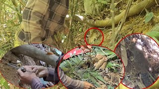 ໃສ່ກັບເຫຼັກຖືກໂຕໄໜ່ cuab ntxiab hlau #hunting 