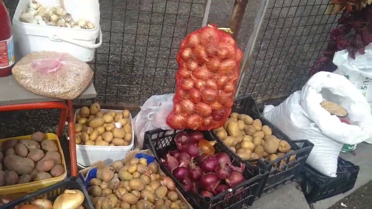 Пазаруване в гр. Пирот 02. 03. 2024 г.