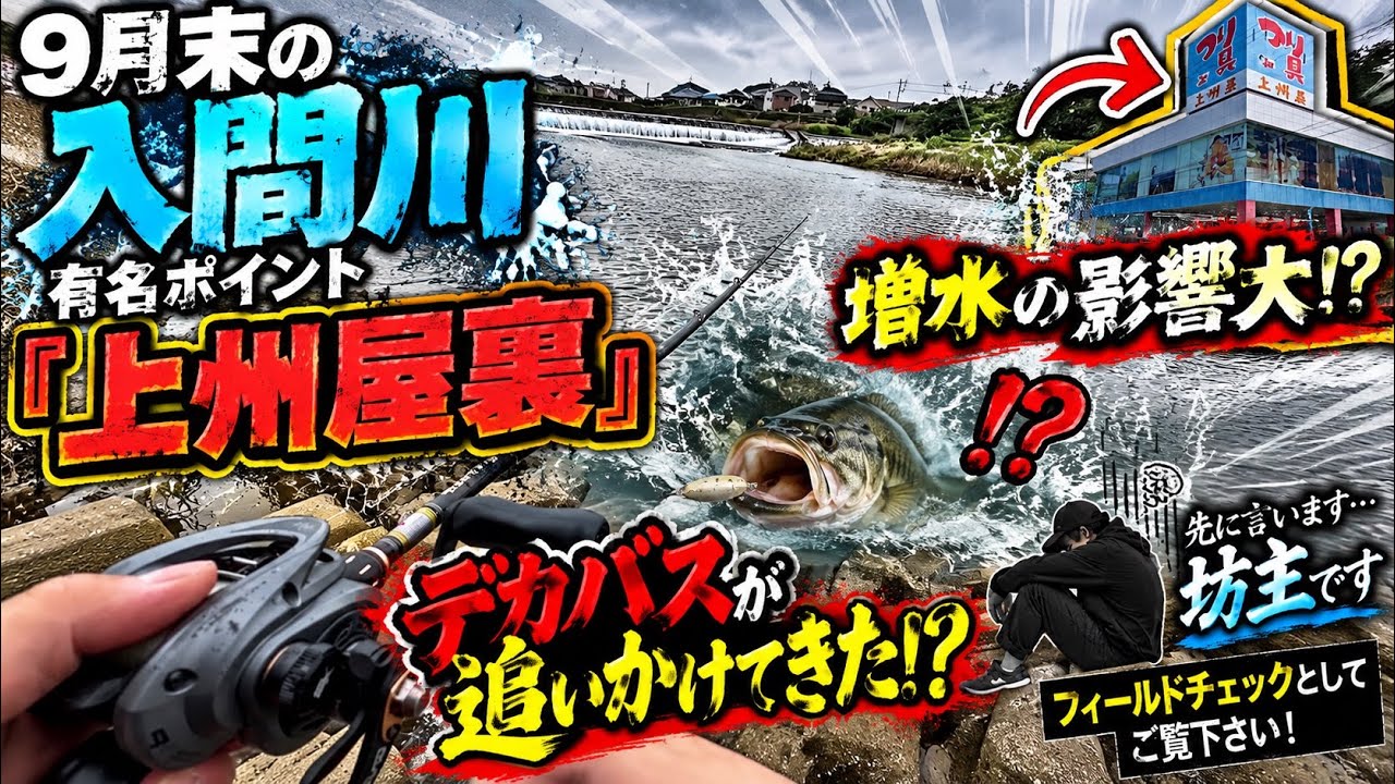 【埼玉バス釣り】9月の入間川『上州屋裏』増水の影響大！？坊主ですすみません！バスはどこ！