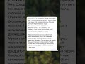 Отказался пить… пока не пробило 12 #поездв90е #соседпоплацкарту #алкогольвпоезде #правилажизни