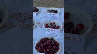 Обзор черешни .7