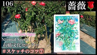 他の方発送×【薔薇】　肉質画 mqdefault.jpg