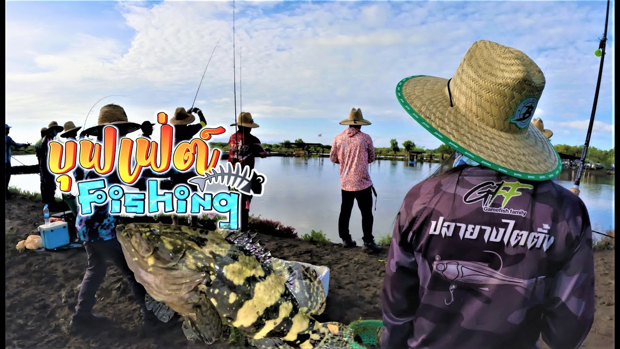 เก๋าหมอ บุฟเฟ่ต์ 500kg AREA FISSHING 12/8/25