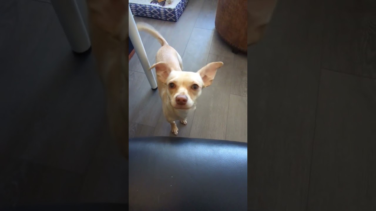 Good vibrations ❤️