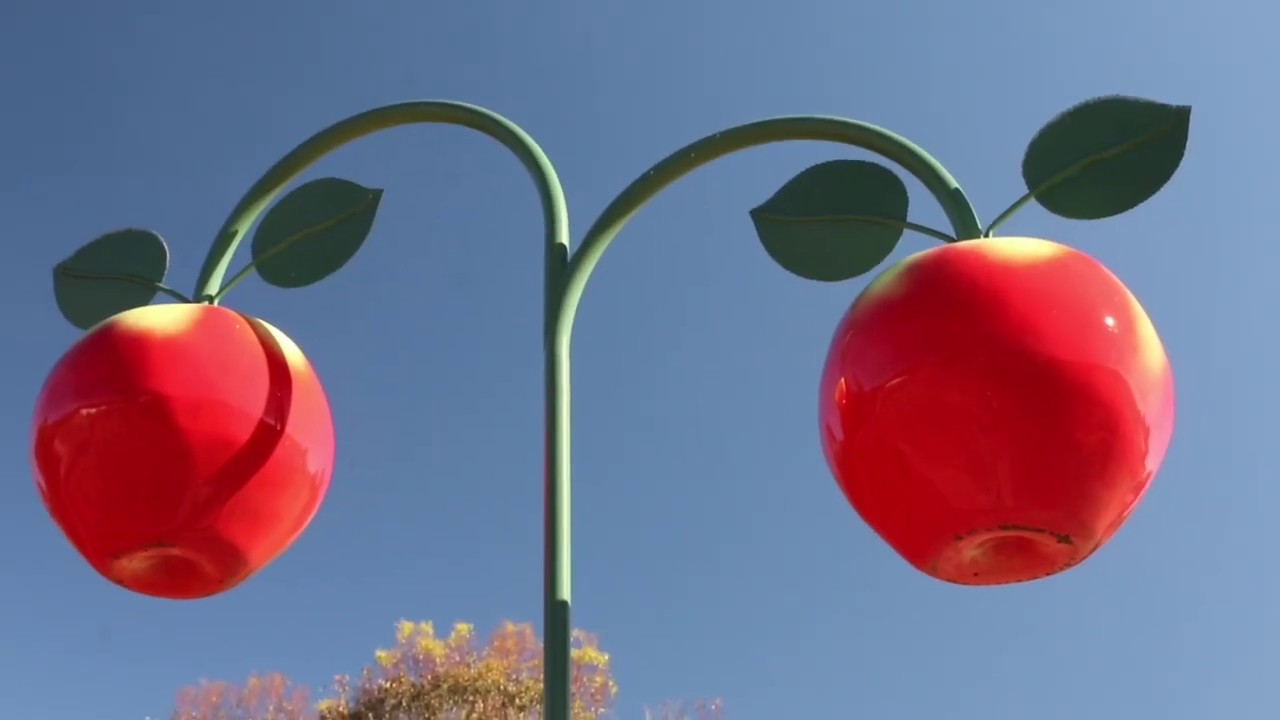 Donnybrook apple Festival 2019 YouTube