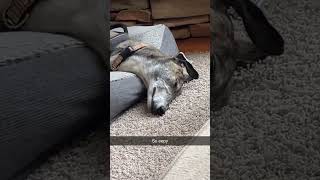 so eepy