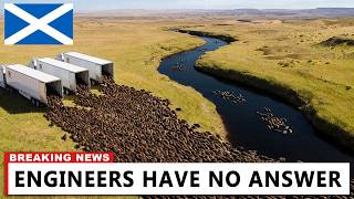 Scotland Released HUNDREDS Beavers Into Dead Land — And This Happened