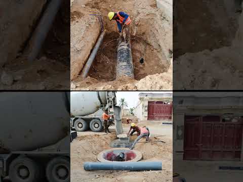 بيدر العرب بفديو سريع