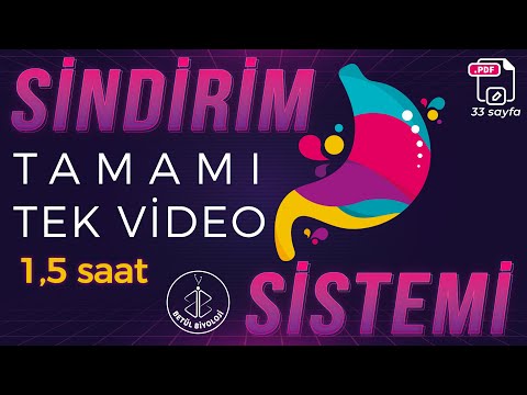 Sindirim Sistemi Tekrar | TAMAMI TEK VİDEO | 33 Sayfa PDF | AYT Biyoloji Konu Anlatımı