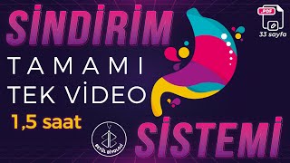 Sindirim Sistemi Tekrar Tamami Tek Vi̇deo 33 Sayfa Pdf Ayt Biyoloji Konu Anlatımı