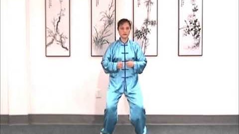 Meridian Qi Gong (preview)