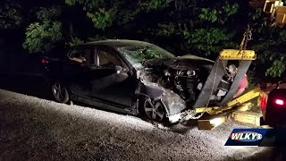 5 hurt in Nelson County crash after passenger grabs steering wheel during argument, police say