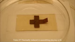 Researchers develop multi-functional smart material – Voiland College WSU