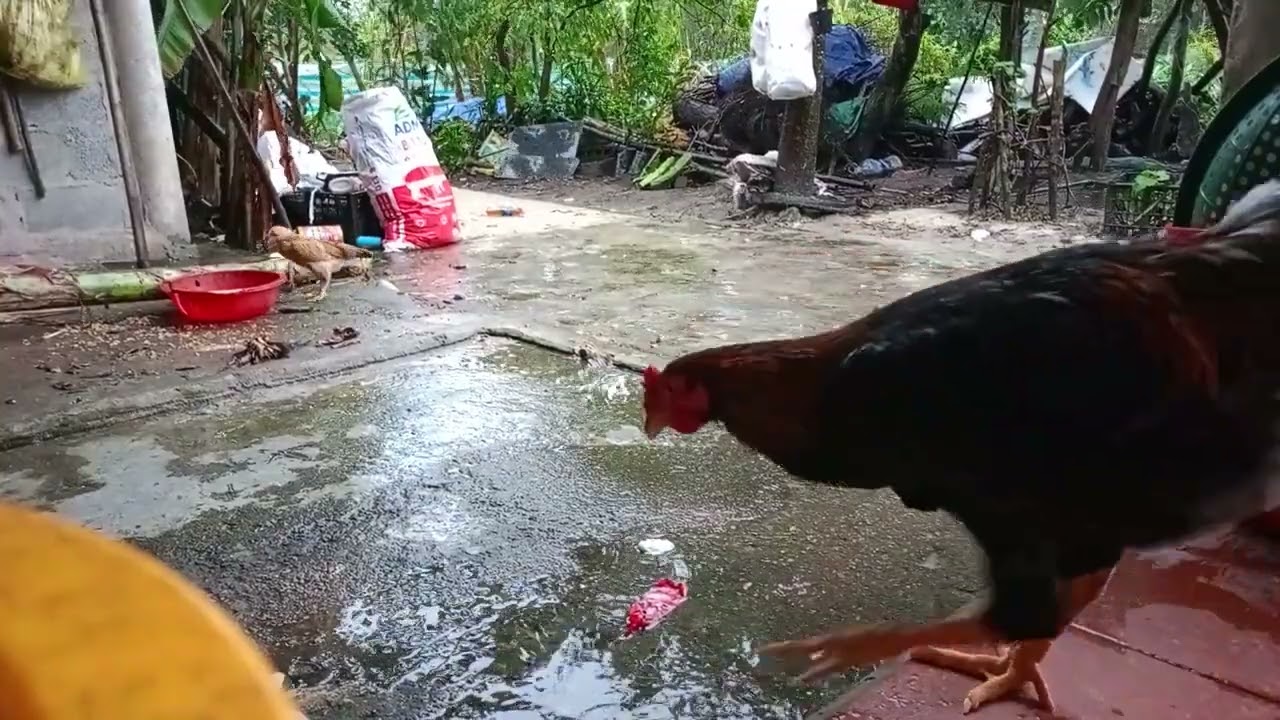 Farm-to-Table: The Benefits of Eating Locally in the Countryside