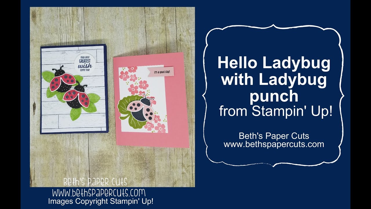 Ladybug Flying Wish Paper