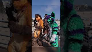 Reactions To Fursuiting At The Pier Ft. @Verplex321