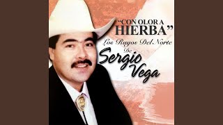 Miniatura del video "Los Rayos del Norte de Sergio Vega - Con Olor a Hierba"