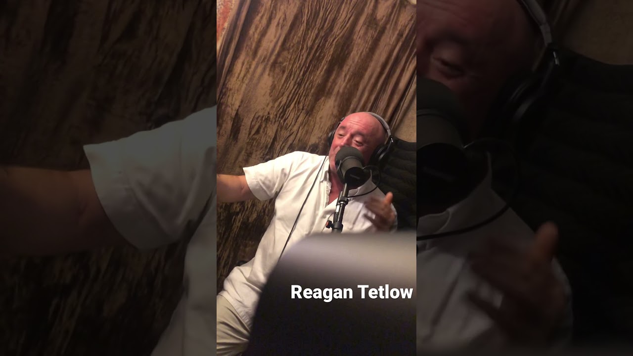 Regan in the OG Lunatic Studio! The Lunatic Fringe Podcast for Skydiving, Extreme Sports, BASE, Para