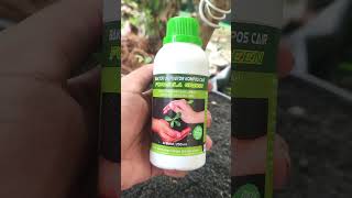 FORMULA GREEN SOLUSI PEMBUATAN KOMPOS SUPER CEPAT
