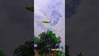 💡🌽Farming Reels 🍈❤️#shorts #viral #farming #khetibadi #viralvideo #instagram #villagelife #ytshorts
