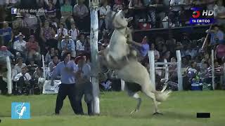 Se Levanta Arriba El Legendario Halcon Blanco De Althabe Vs Jose Gimenez