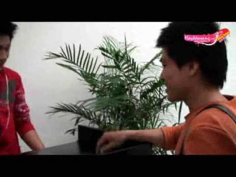 HAY TOA SANG - Bui Hoang Thu - Clip Dien xuat (von...