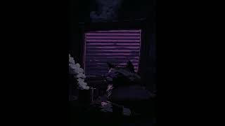 🌌 POV: Your code finally compiles at 3 AM... 👾 (ASCII Lofi) #lofi