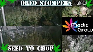 Medic grow smart 8 Ep10 Seed to chop Oreo stompers S1 420 grow