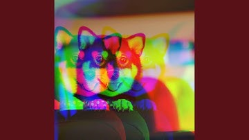 Pulsating Music for Roaring Pups