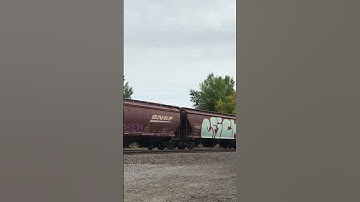 BNSF westbound grain train #shorts