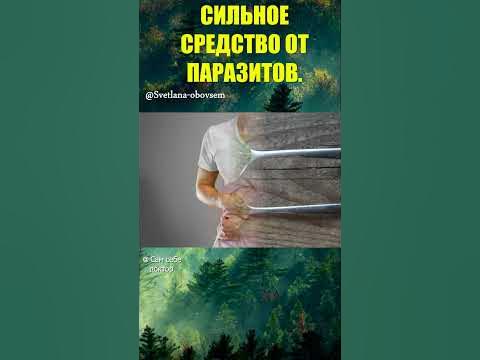 ПИЖМА,ГВОЗДИКА,ПОЛЫНЬ-СИЛЬНОЕ СРЕДСТВО ОТ ПАРАЗИТОВ #shorts/# ...