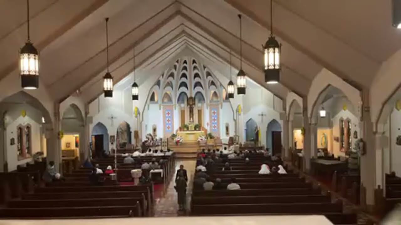 Ordination to Priesthood of Fr Jonas Verdeflor, OMV