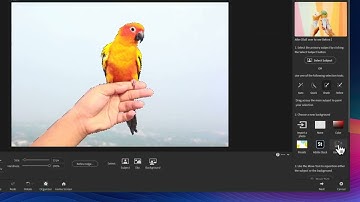 Generative AI Backgrounds in Replace Background Guided Edit